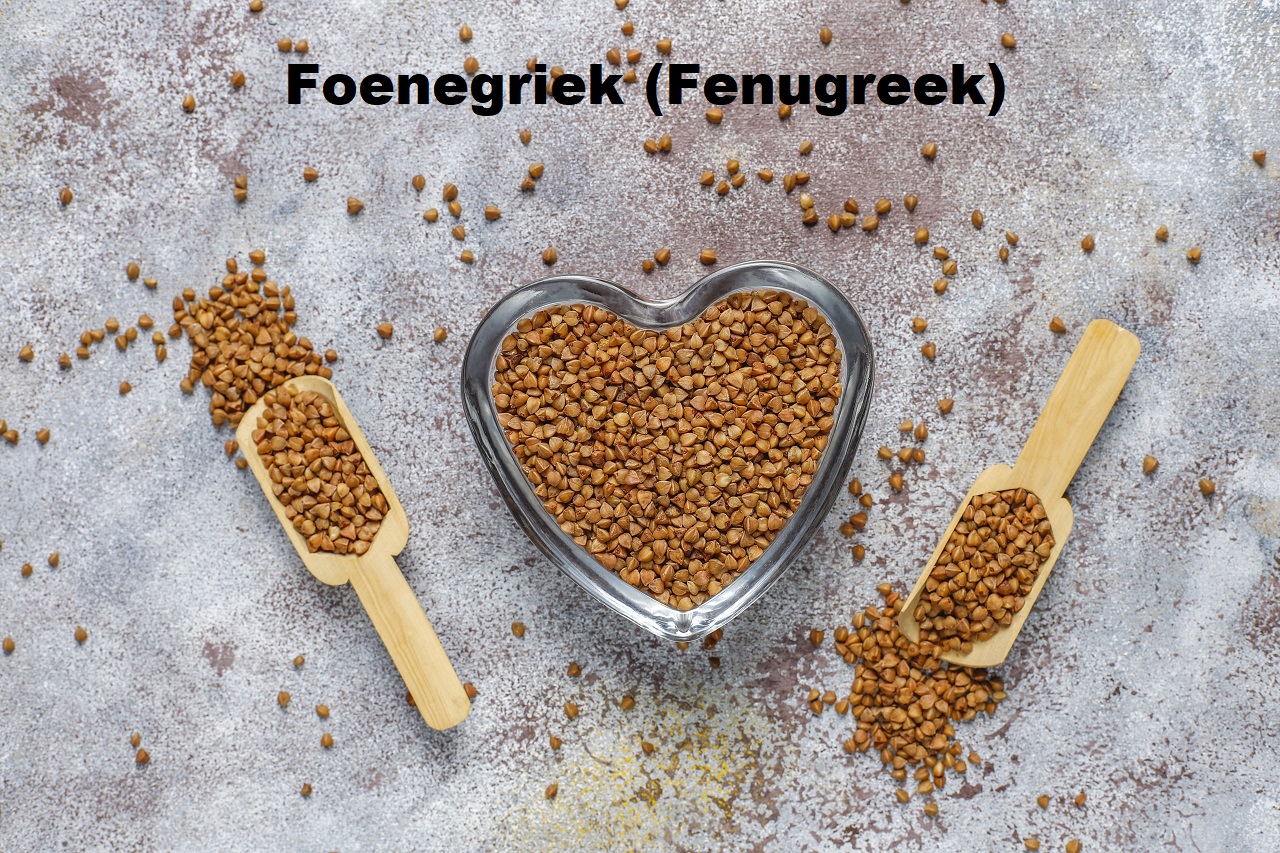 Foenegriek (Fenugreek)